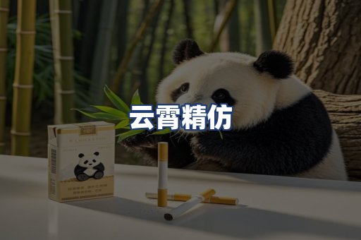 云霄精仿